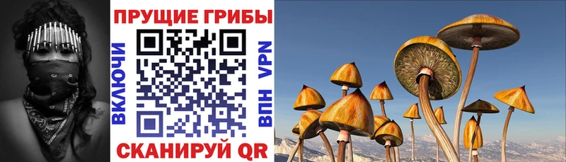 Псилоцибиновые грибы Psilocybine cubensis  где купить наркоту  Боровск 